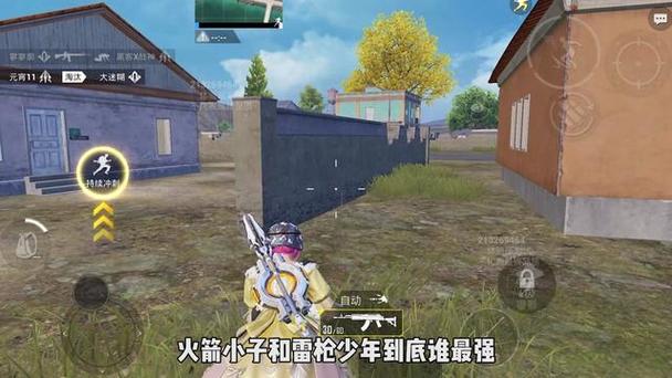 和平精英透视辅助器 - 高清识别稳定运行